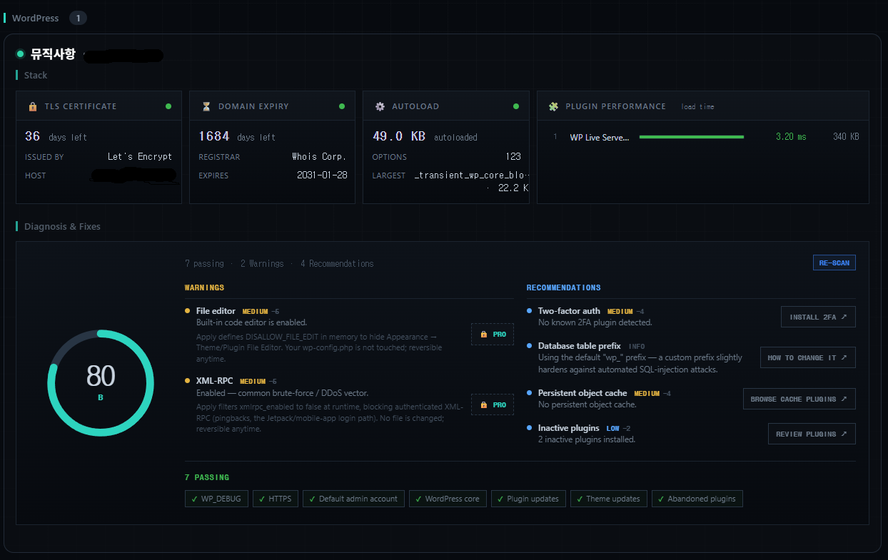 Stack and WordPress health panels: TLS certificate, domain expiry, DNS check, autoload analysis and plugin performance